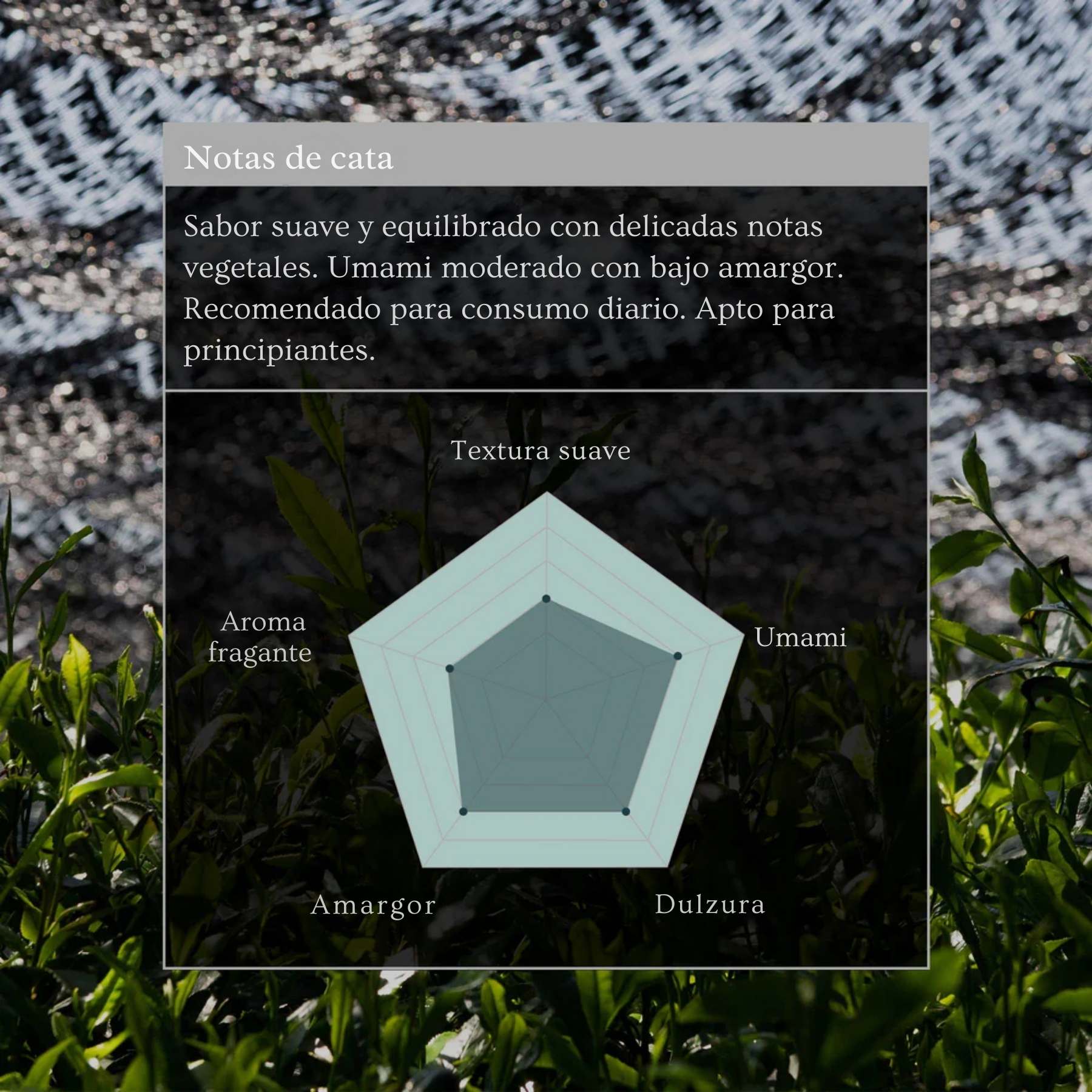 Naoki Matcha Mezcla Superior Ceremonial – Polvo de Té Verde Matcha Japonés Autentico de Primera Cosecha de Grado Ceremonial