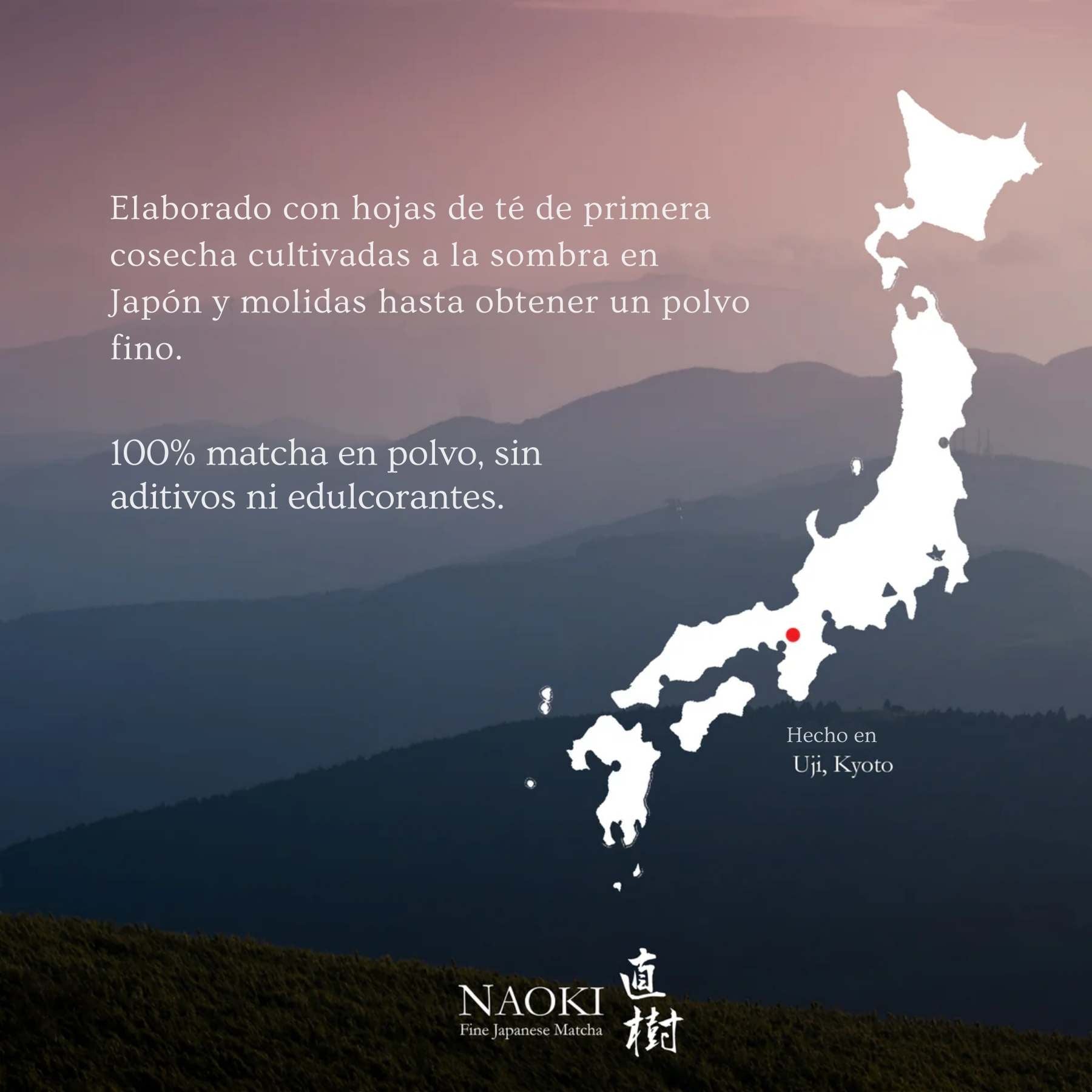 Naoki Matcha Mezcla Superior Ceremonial – Polvo de Té Verde Matcha Japonés Autentico de Primera Cosecha de Grado Ceremonial